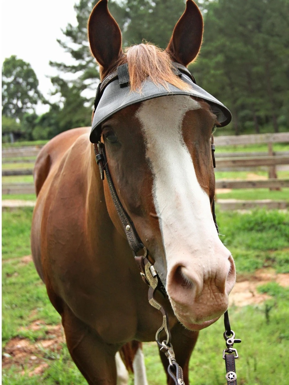 Etsy Handmade Mesh Fly Visor Browband Attachment